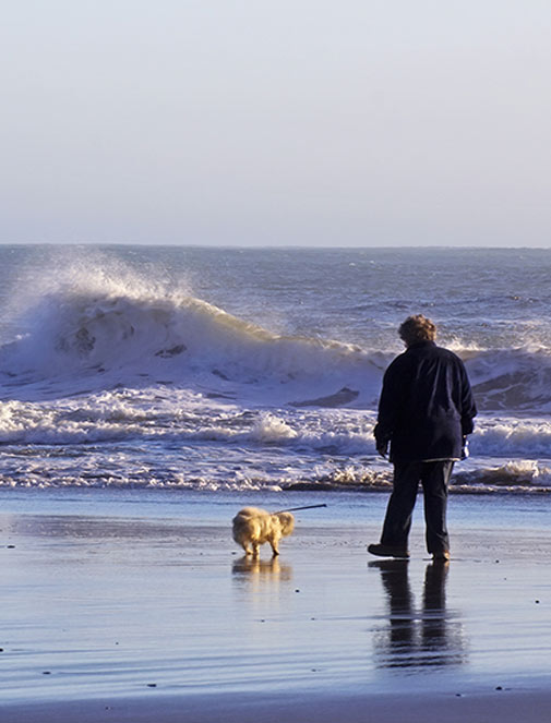 Man on beach with dog